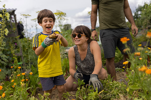 En familj i ett grönsaksland, ett barn håller upp en potatis