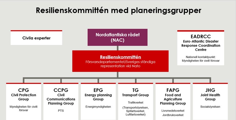 Organisationsschema över Sveriges representation i Natos civila struktur