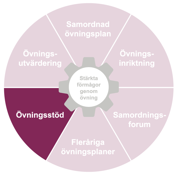 En cirkel uppdelad i tårtbitar, där varje tårbit är en del av systematisk övningsverksamhet. Övningsstöd är markerad. 