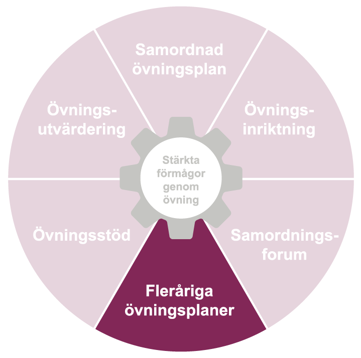 En cirkel uppdelad i tårtbitar, där varje tårbit är en del av systematisk övningsverksamhet. Fleråriga övningsplaner är markerad. 