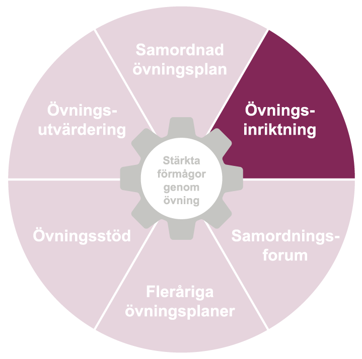 En cirkel uppdelad i tårtbitar, där varje tårbit är en del av systematisk övningsverksamhet. Övningsinriktning är markerad. 