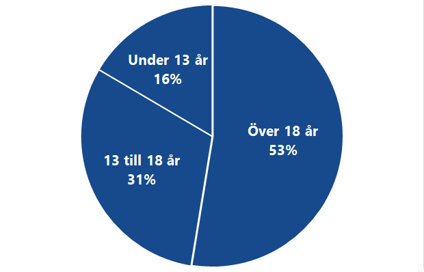 Diagram över om ålder på den som skadats av fyrverkerier, 16 % var under 13 år, 31 % var 13 till 18 år och 53 % var över 18 år.