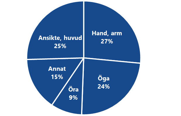  Diagram över vilken kroppsdel som skadats. Flest är arm och händer 27 %, ansikte och huvud 25 %, 24 % öga samt öra 9 %. 15 % av skadorna är på andra kroppsdelar.