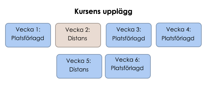 Överblick kursupplägg styrkeledare påbyggnadskurs